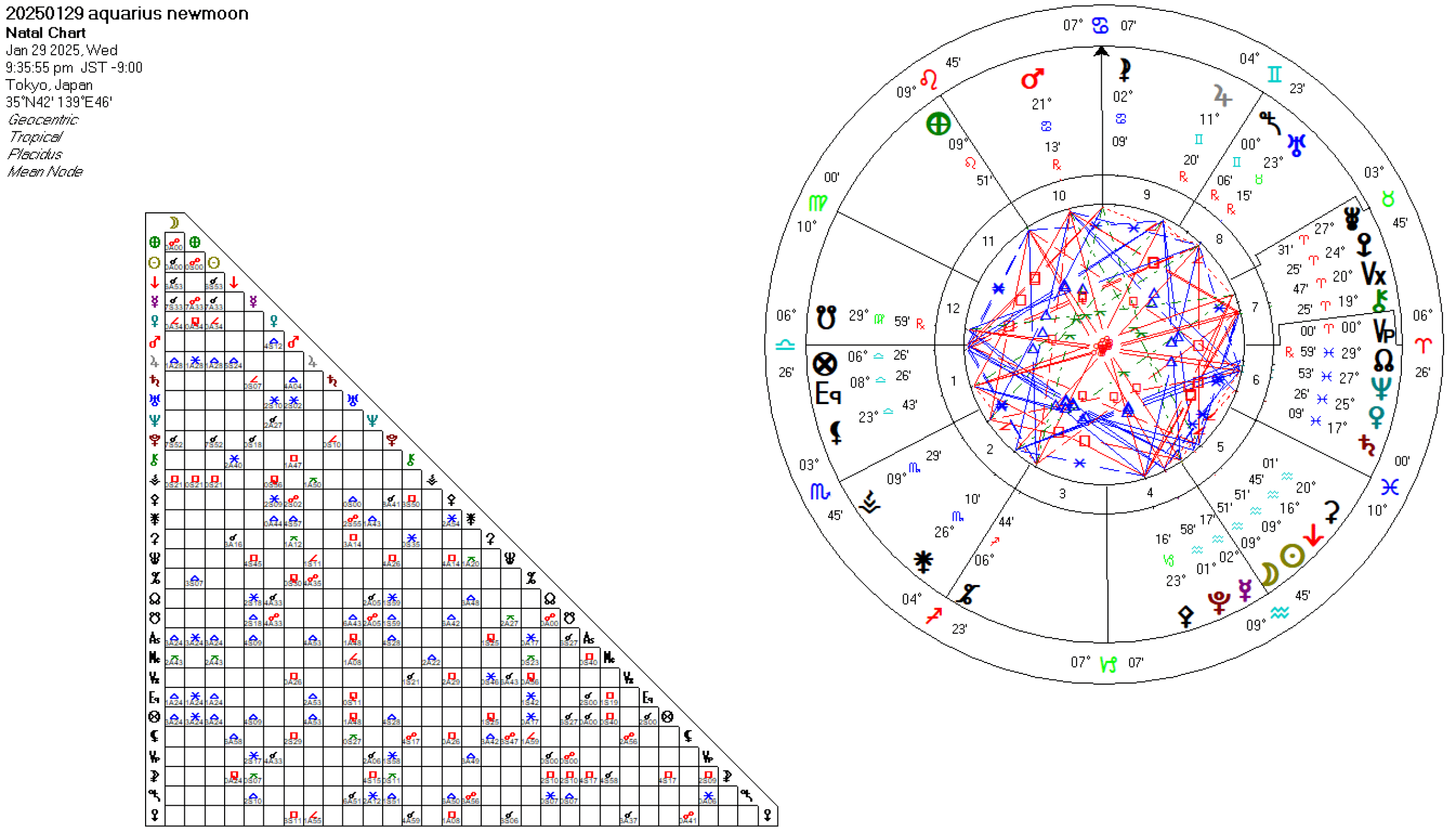 20250129水瓶座新月