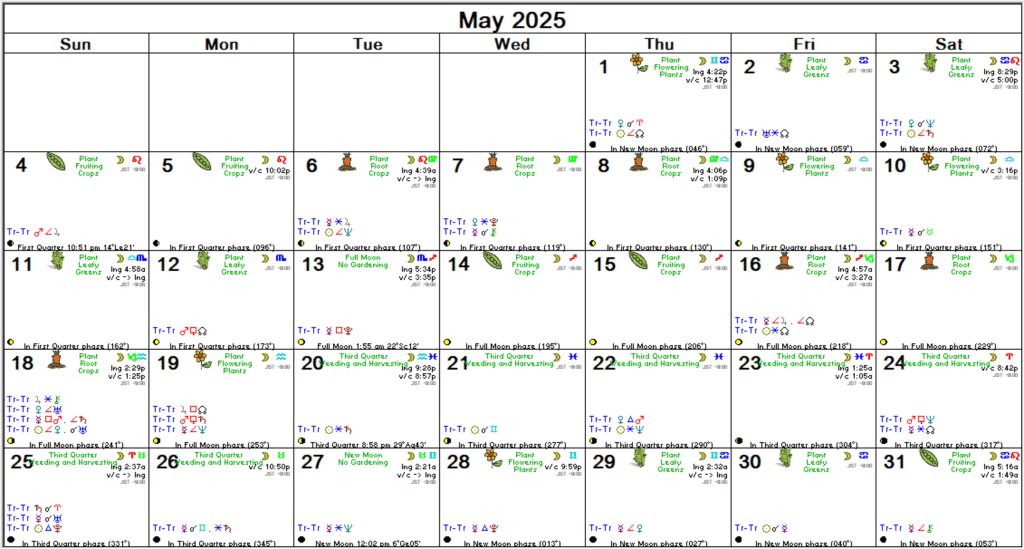 2025年5月