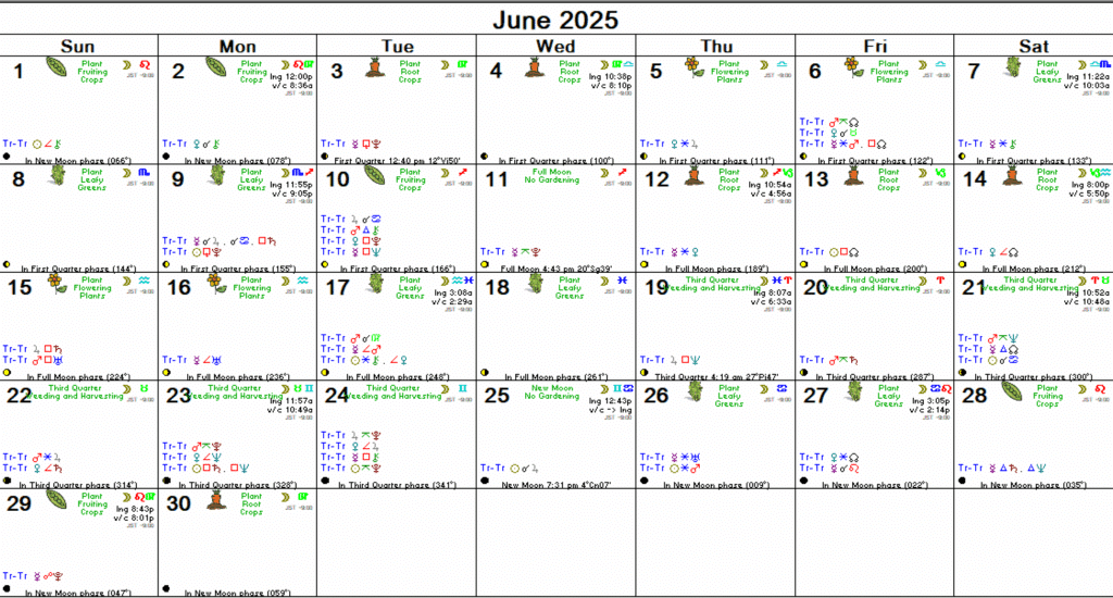 2025年6月