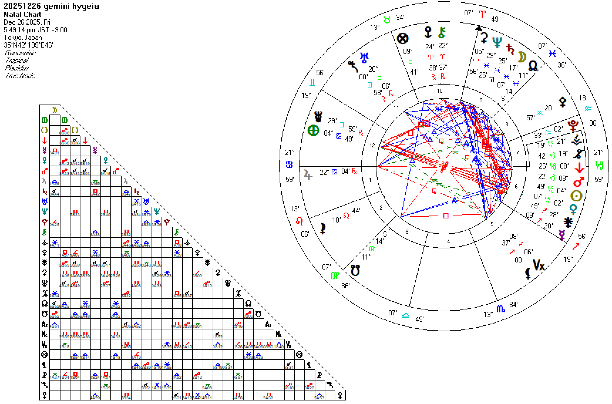 20251226双子座ハイジア