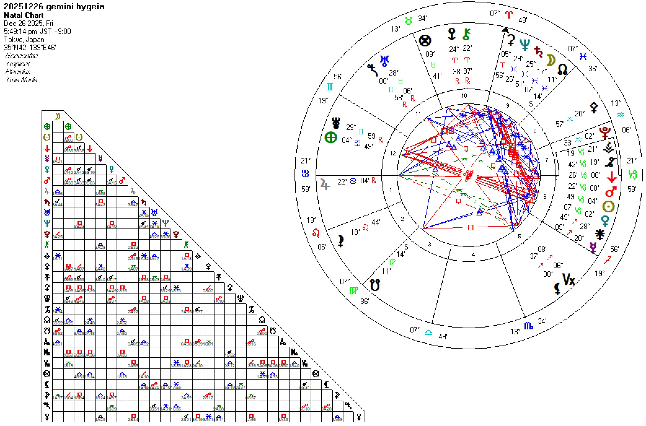 20251226双子座ハイジア