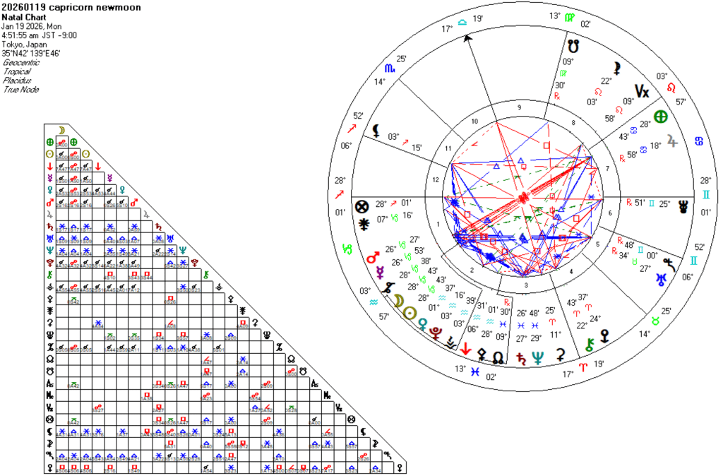 20260119山羊座新月
