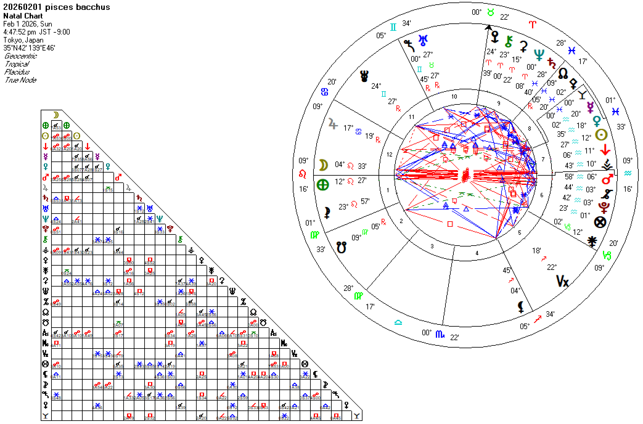 20260201魚座バッカス