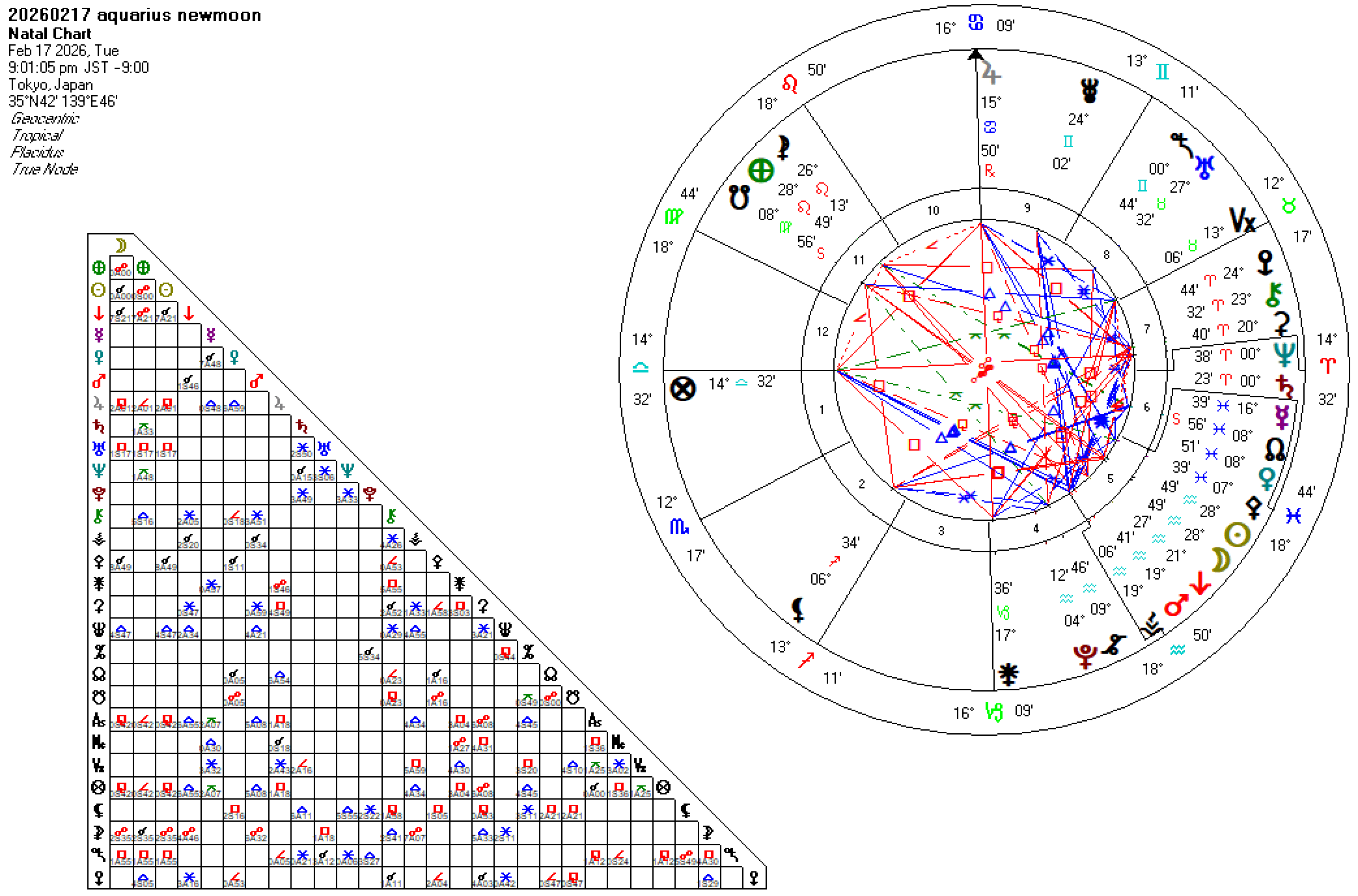 20260217水瓶座新月