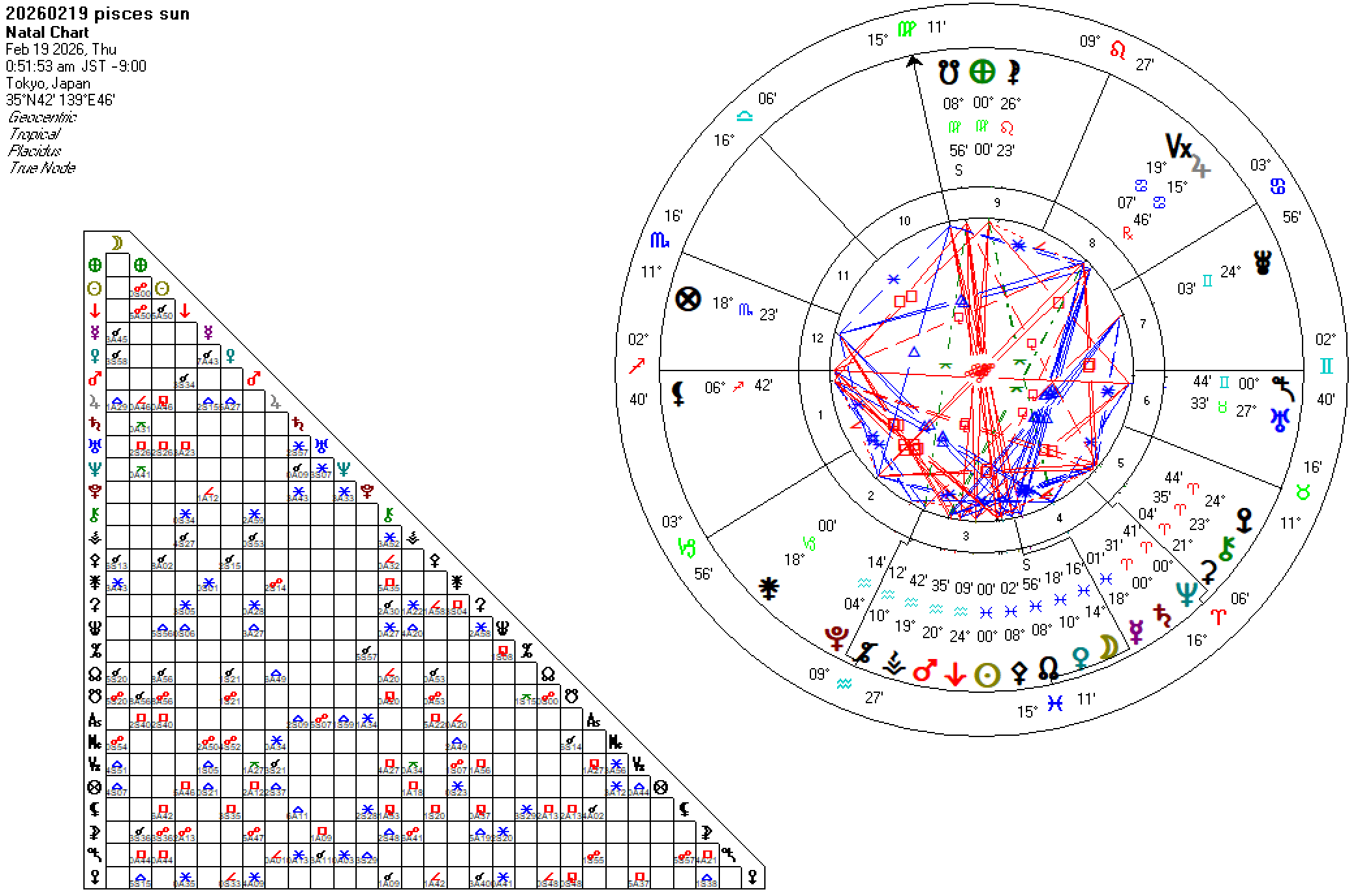 20260219魚座太陽