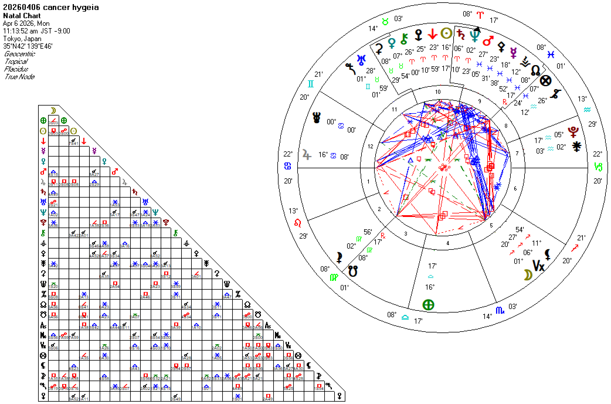 20260406蟹座ハイジア